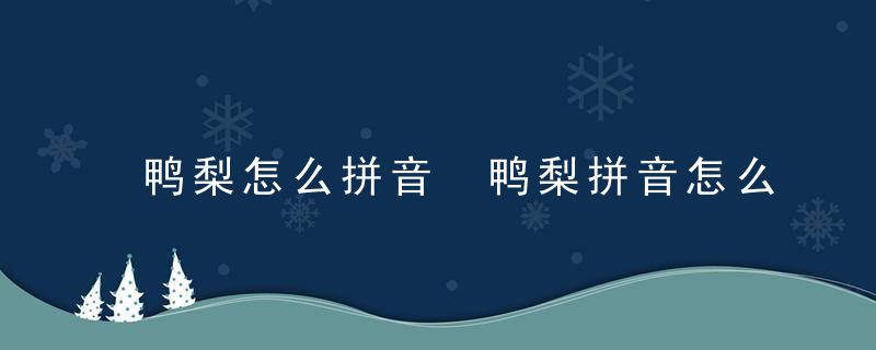 鸭梨怎么拼音 鸭梨拼音怎么读